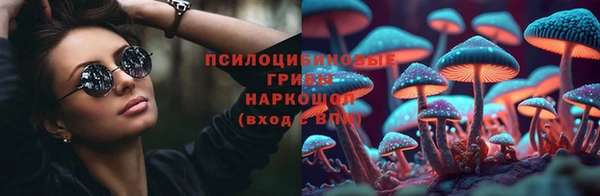 стаф Баксан