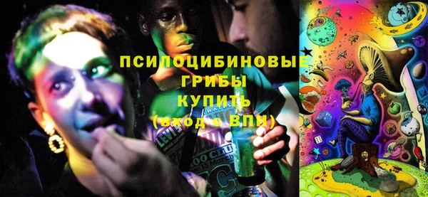 стаф Баксан