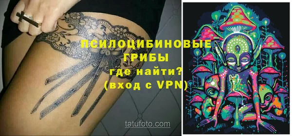 стаф Баксан