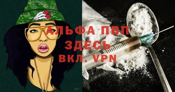 стаф Баксан