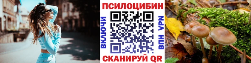 магазин продажи наркотиков  Белая Холуница  Псилоцибиновые грибы ЛСД 